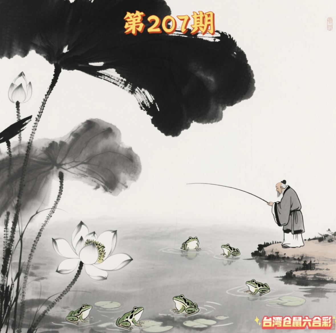 第207期